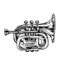 Musical brass instrument cornet vector illustration in black ink Royalty Free Stock Photo